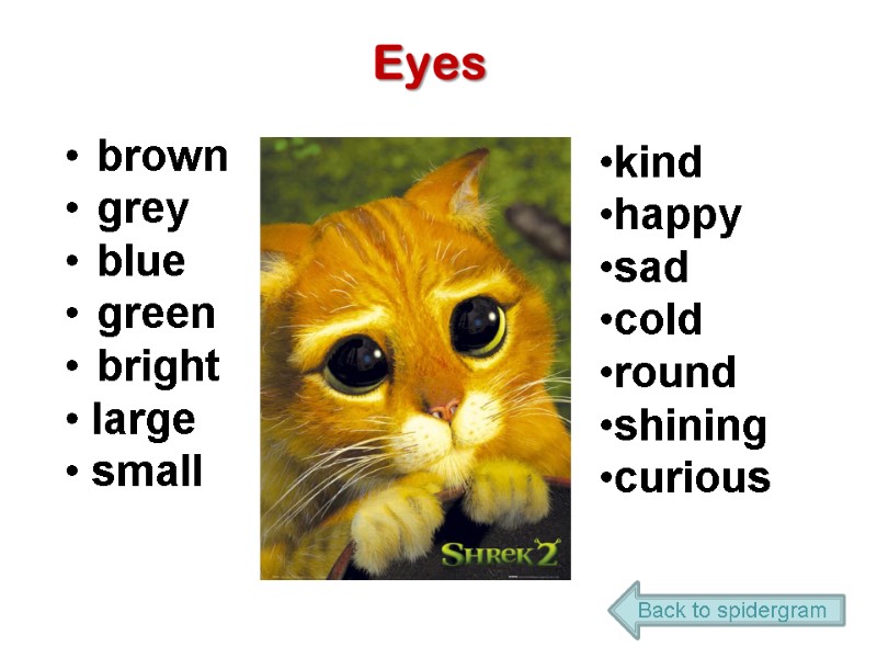 Eyes brown grey blue green bright  large  small  kind happy sad